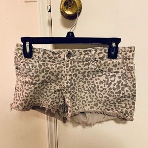 Denim Klique B Leopard Print Shorts